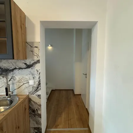 Centrally Located Large Split-level Apartament